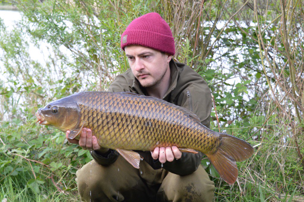 Michael Trench (@mickytrench) on Twitter photo 