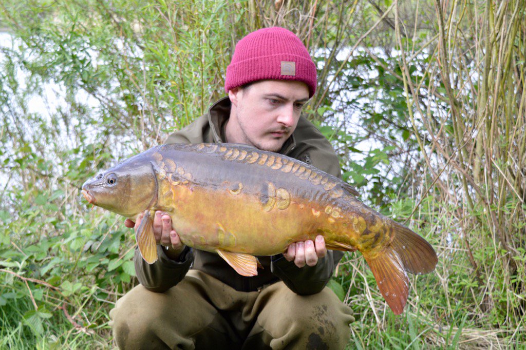 Michael Trench (@mickytrench) on Twitter photo 