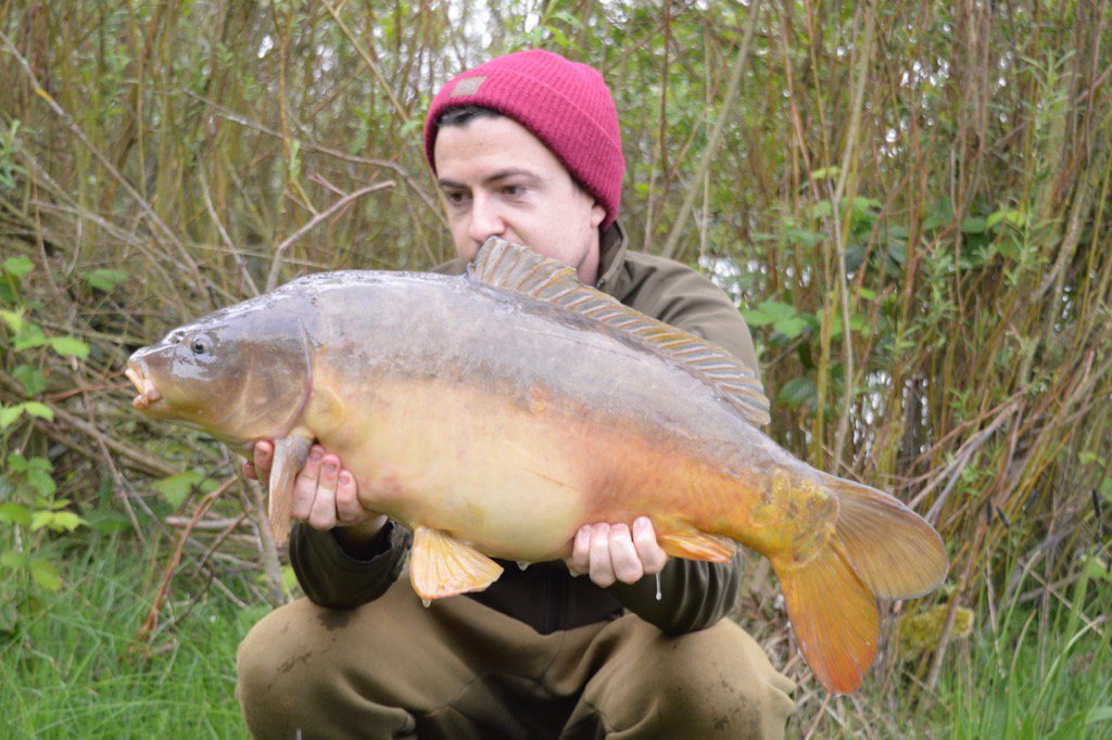 Michael Trench (@mickytrench) on Twitter photo 