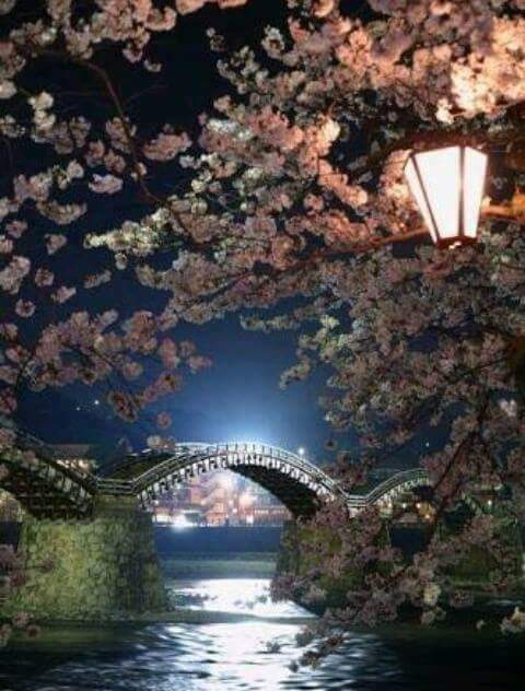 farqad63's tweet photo. @CivilizedEngr @LatofaOb 
@MARIALUISAMAR5 
@dilruba_lees @MenAlyemen_ye 
@MariaLima369 @bobbygreyone 
@adriatic_sea_ @MihaelaOlariu3 
💛💛💛💛💛💛 https://t.co/DbRCL1jjht