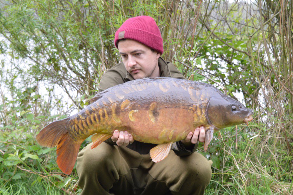 Michael Trench (@mickytrench) on Twitter photo 