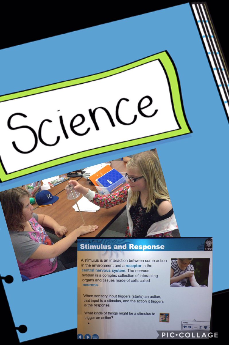 mrslang5sci's tweet photo. 5th graders are learning about a new body system - Sensory System - trigger + stimulus = response @WV_ESSD40 #FOSS #essd40excels https://t.co/o6pQh3ZLpn