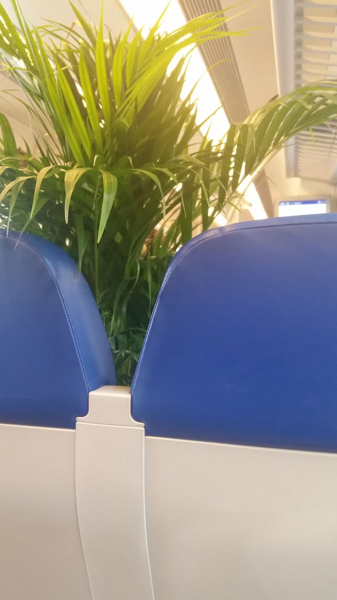PaulineReder's tweet photo. Ik ga met de trein, en ik neem mee in de avondspits... #treinleven https://t.co/qHxJAwokkR