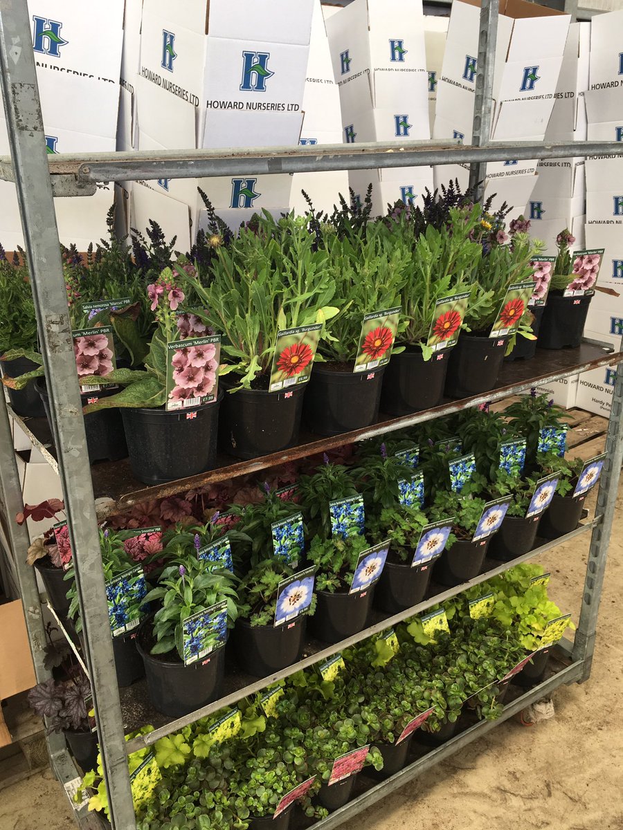 FamilyBizPaul's tweet photo. Further diversity of family firms demonstrated in East Anglia today @howardnurseries @advancedperformance @thebullauberge https://t.co/o5beh1htP8