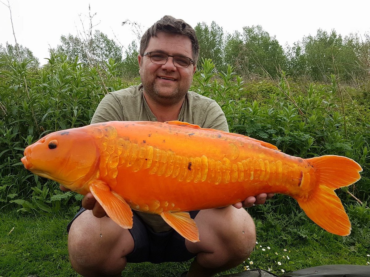 Aaron Fisher wasn't expecting this flash of colour after using with Bubblegum Cream #StinkyStuff.