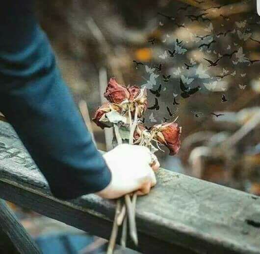 سين ،، ياليت الناس ماخلقوا .