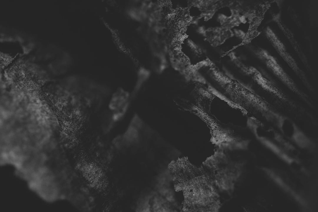 Virocity's tweet photo. #virocity #darkart #scifi #fantasy #horror #abstract #gothic #Grunge #bnw #abstract #abstractart https://t.co/6PjJmzlsn3 https://t.co/dyS7AXIgxA