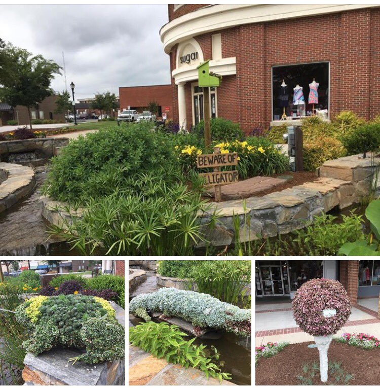 SCFOF's tweet photo. Our flower friends starting to make their way into @UptownGreenwood! #GreenwoodsBlooming #SCFOF50th @SCFOF https://t.co/poOuXpMpQZ