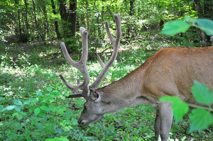 Visualizza l'immagine su Twitter Visualizza l'immagine su Twitter