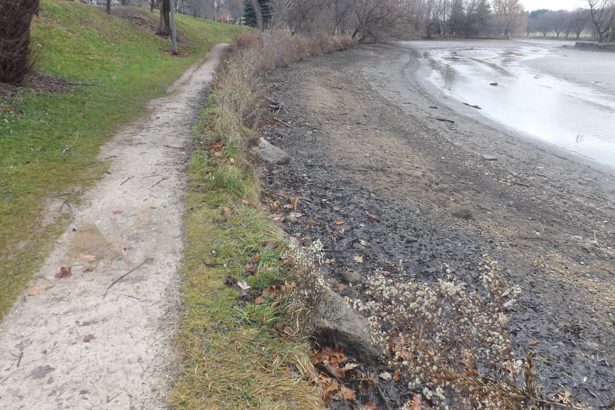 CraigMerkley's tweet photo. Finished up adding a few trees and shrubs to the top of the cribwall in Stratford this am!  Stops erosion, adds biodiversity to shoreline. https://t.co/LyE2BWYjd9