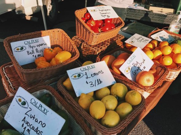 CPcampusdining's tweet image. Shop local at the #CalPoly booth tonight #FarmersMarketSLO #SupportStudentSuccess