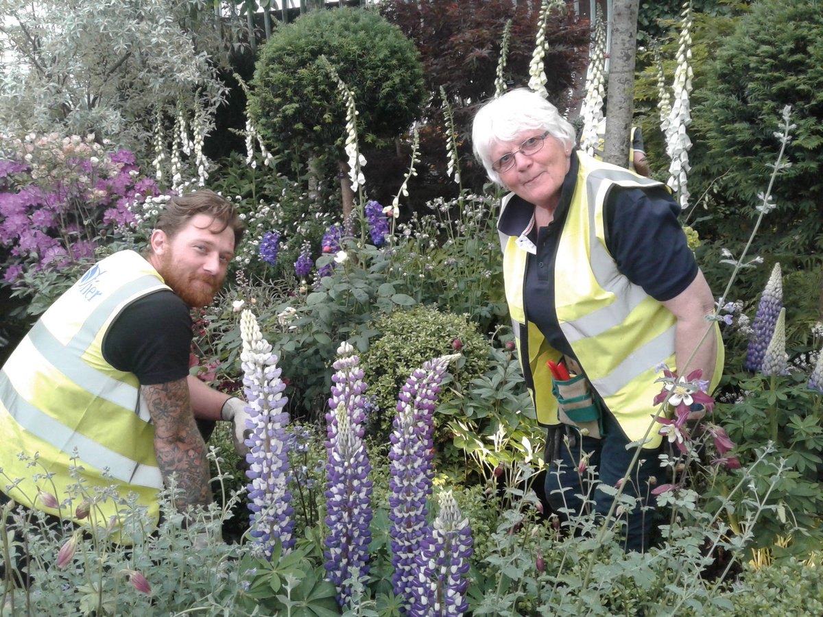 The_RHS's tweet photo. More lovely shots from the @RHChelsea site as work continues to bring the greatest flower show in the world to life - #RHSChelsea! https://t.co/TJZzFJhdV3