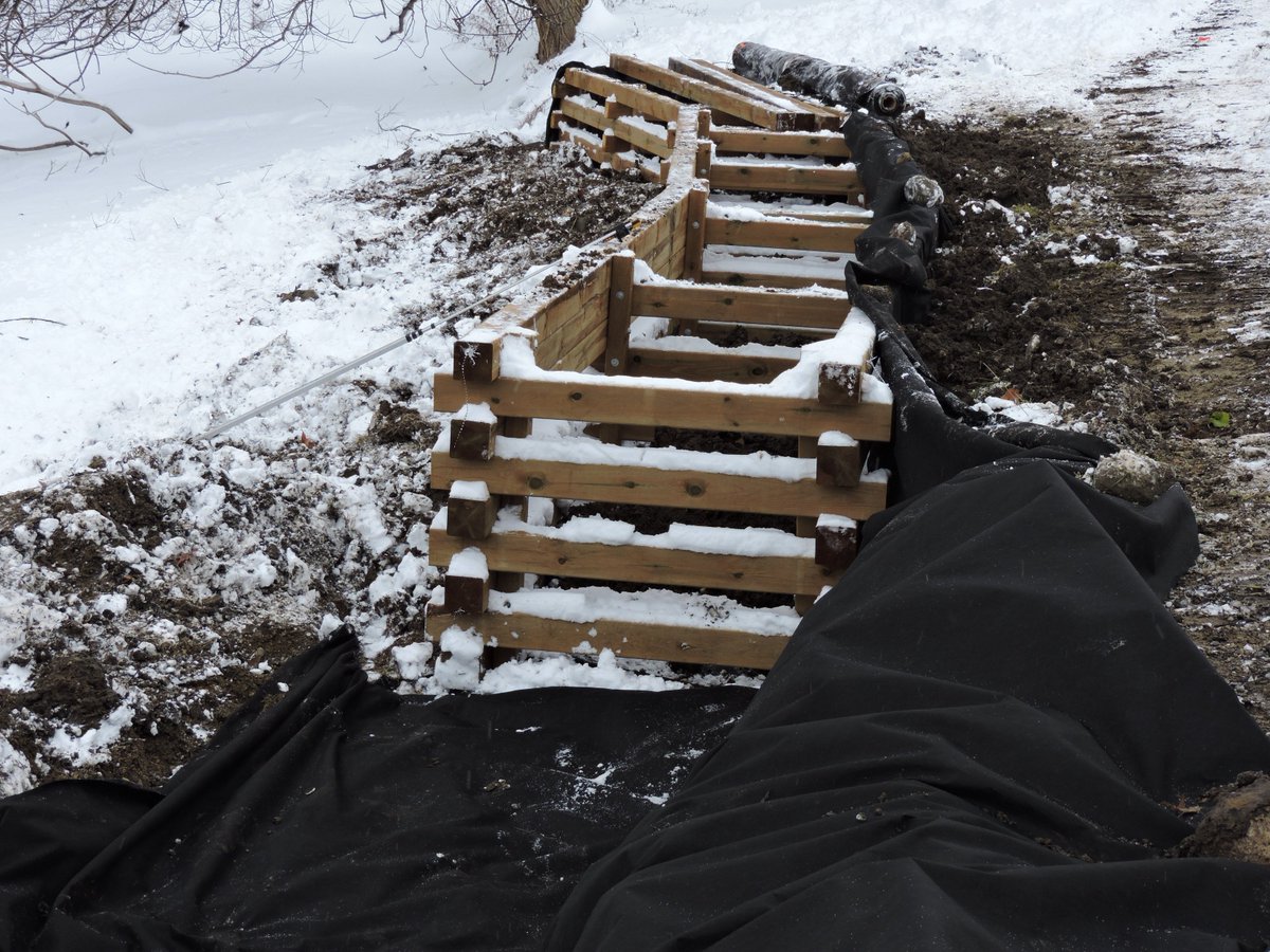 CraigMerkley's tweet photo. Finished up adding a few trees and shrubs to the top of the cribwall in Stratford this am!  Stops erosion, adds biodiversity to shoreline. https://t.co/LyE2BWYjd9
