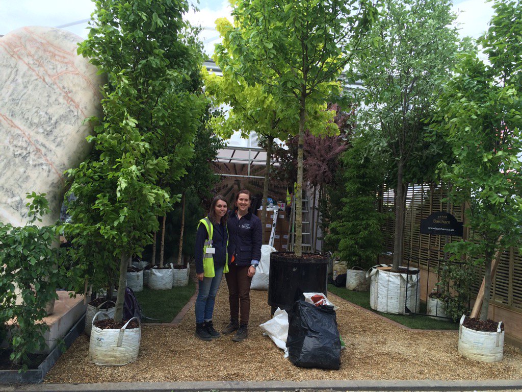 Barchamtrees's tweet photo. #ThrowbackThursday to this day last year, we had just completed our #RHSChelsea stand! Changes for 2017... #stand81 https://t.co/ZVakYCK1eU