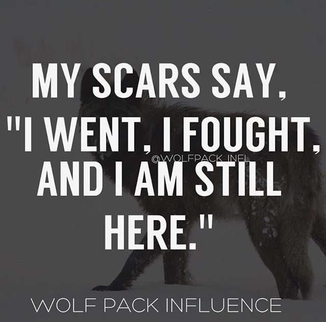WolfPackINFL's tweet photo. https://t.co/f8z6cXqBSA