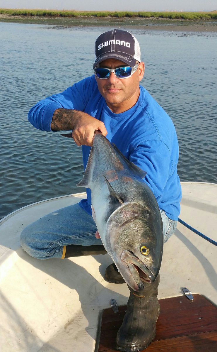 longbeachfly's tweet photo. #bluefish @shimanofish @stcroixrods @CostaSunglasses https://t.co/FAvSh9OrdR