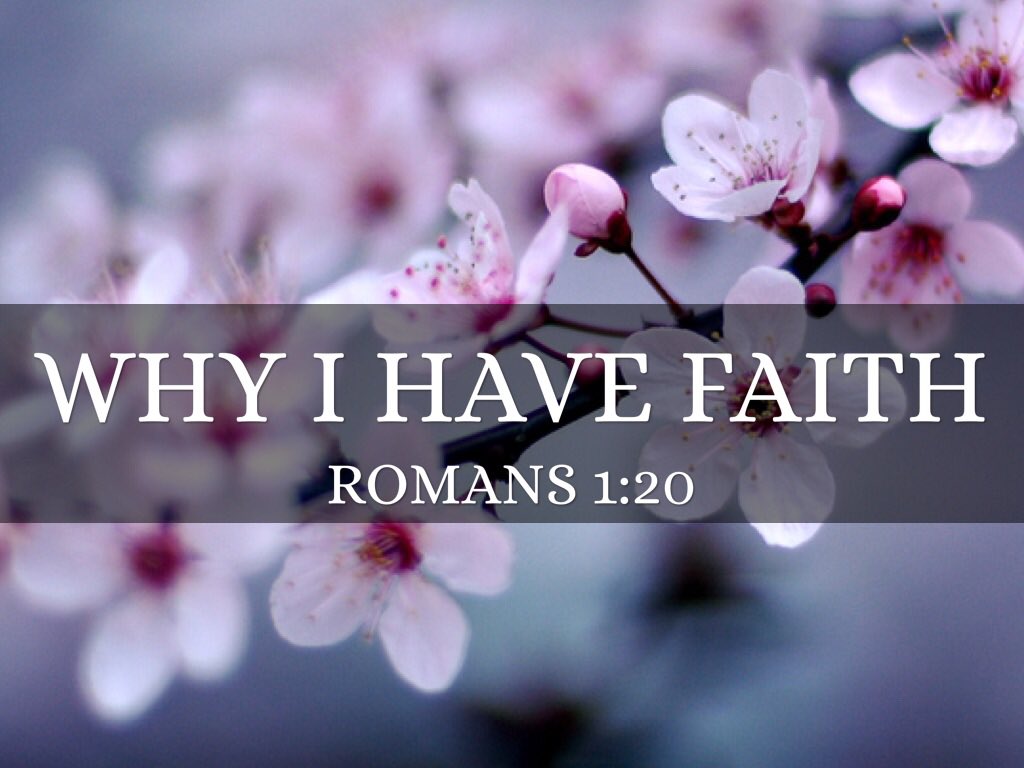 FccCassville's tweet photo. Join us this Sunday as we start our new series on This I Believe. Service begins at 10:40am 905 Old Exeter Rd Cassville MO https://t.co/lg7Ar06xQj