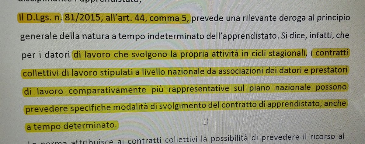 Roberta Orfello tweet media