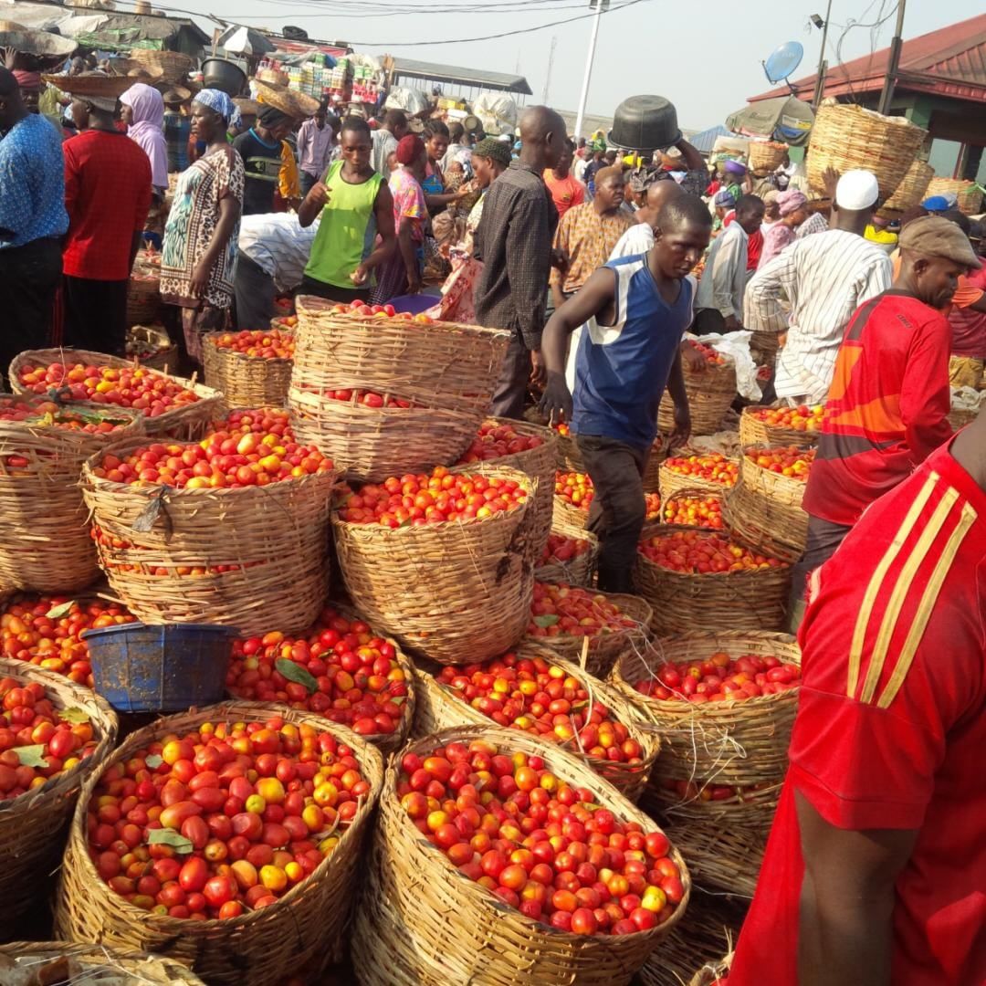 sarelohq's tweet photo. Going to the market is hectic, let's save you the stress by doing your shopping for you. #weshop #wedeliver #freshfoodstuff #marketruns https://t.co/ihFLF4puOq