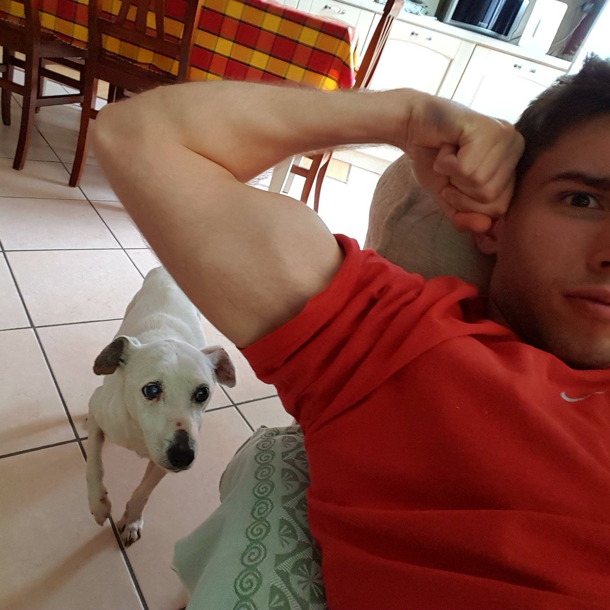 IlLocaZ's tweet photo. #NewProfilePic #PumpingIron #ADogConfused #HotDog https://t.co/RYeLJ8JhJq