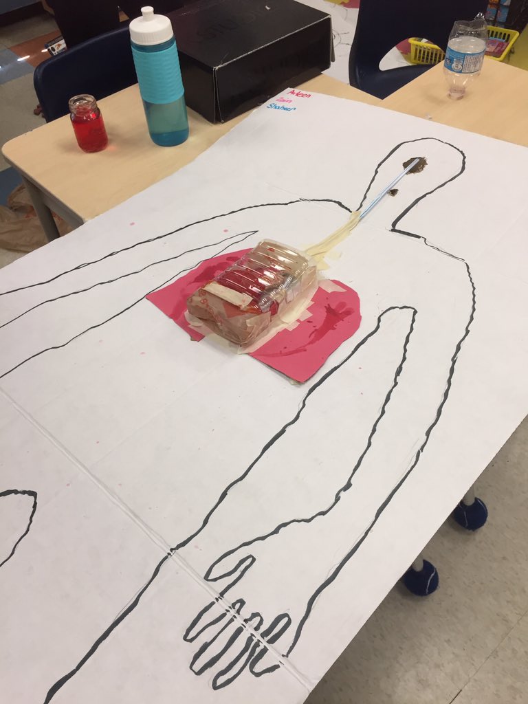 MsRicciuti's tweet photo. Grade 5's working hard on creating and designing their human body systems! @HuntingtonRidg1 @PeelSchools https://t.co/8cBWUQ3nq5