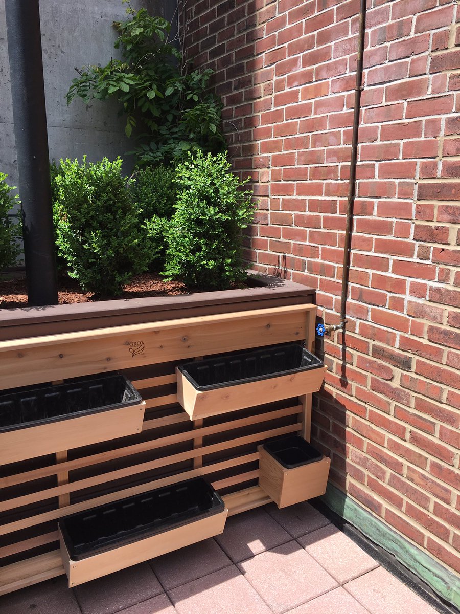bobssteaknyc's tweet photo. Planting our herbs for a Bobs summer #cocktails https://t.co/O5ruliCyxK