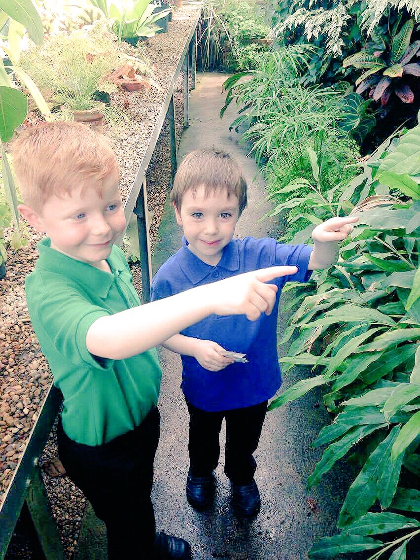 KBAMissParker's tweet photo. Today at Botanical Gardens With Year 1! 🌵🌿🌻💐🌴 @KBuccleuchA @MrsONeillKBA  @MrsSmithKBA #botanicalgardens #lovekbaprimary https://t.co/AAVxtjDeww