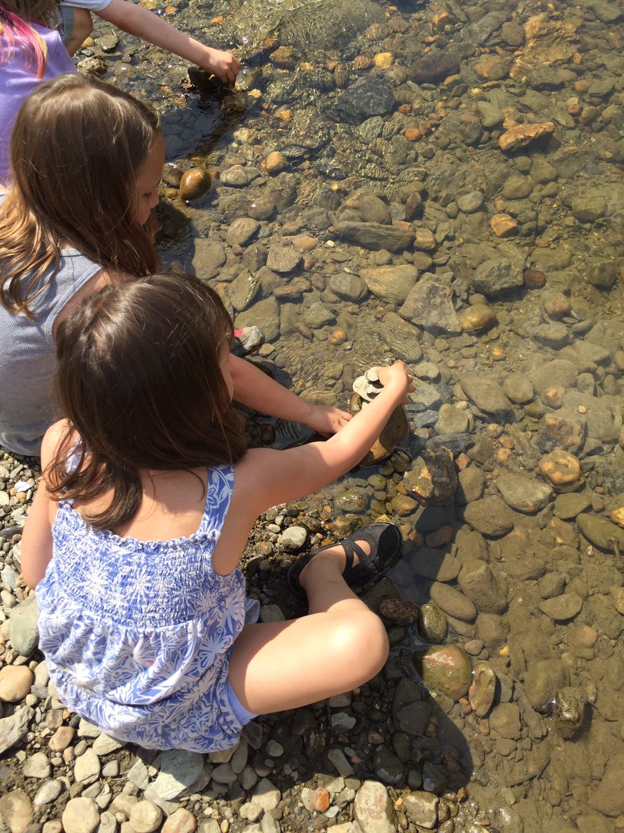 chicteach's tweet photo. Exploring the brook. #OutdoorClassroomDay #science #explorenature #wwsu https://t.co/QYGFCQXEyN