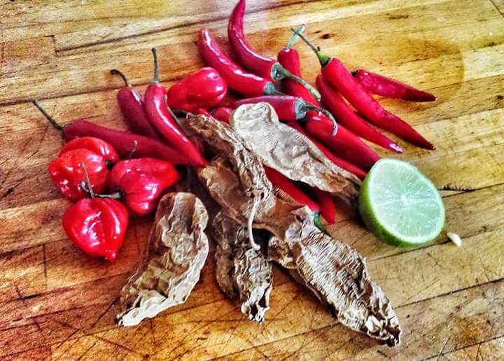 BurritoBox tweet media