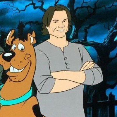 DatSillyMoose tweet picture