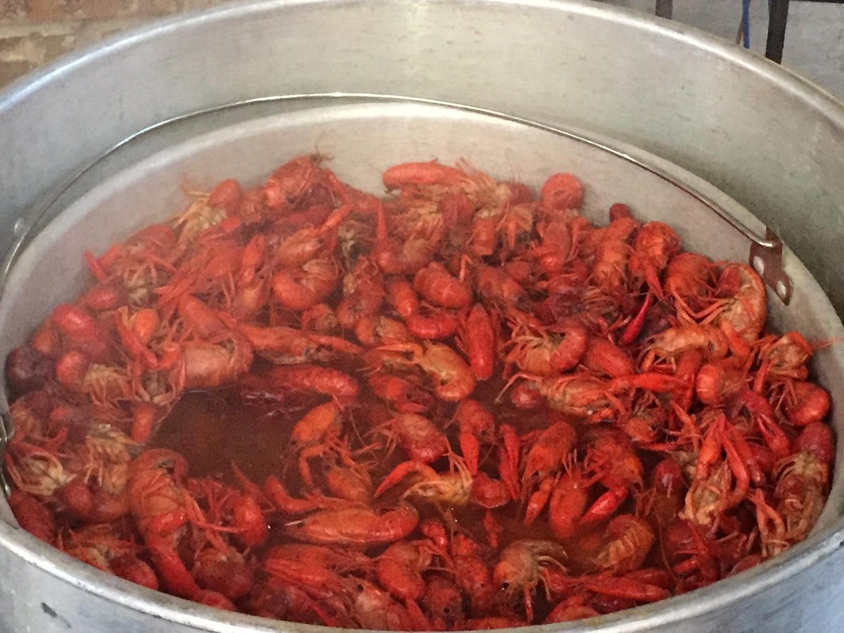 FultonStNOLA's tweet photo. They'll be serving up plenty of these and cold beer @FultonStNOLA this Saturday for @DRF49  annual BugsnBrews! https://t.co/tpygOc6SJO https://t.co/gqyJGDbAt7
