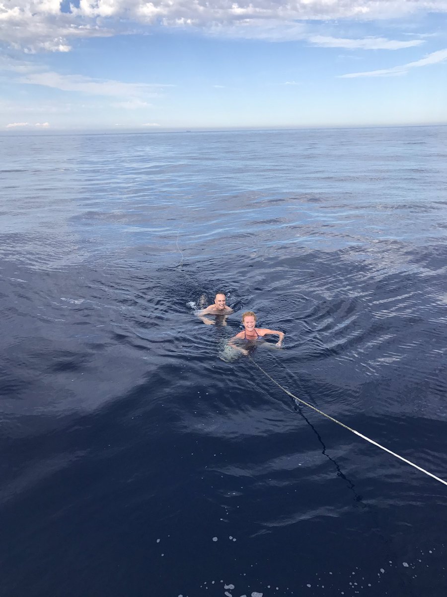 danielMsite's tweet image. Al agua patos @APDasociacion #RegataAPD