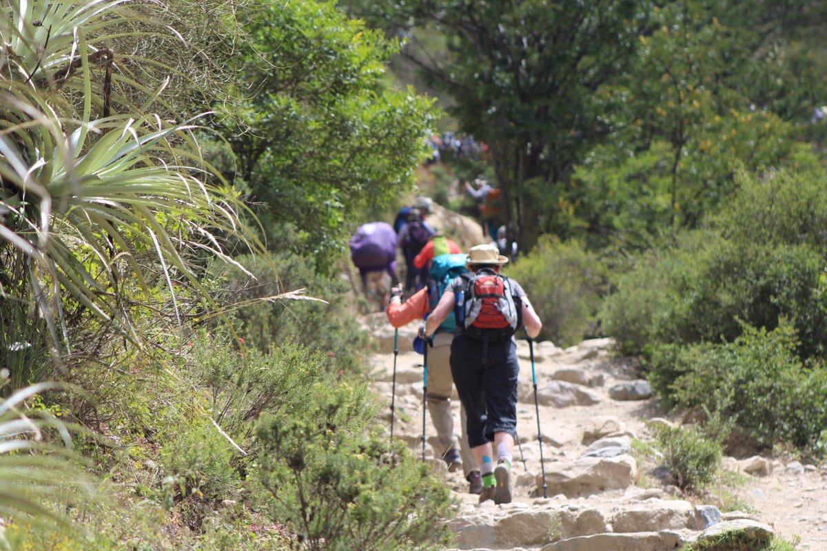 ERICXPEDITIONS's tweet photo. Live this amazing experience, full of adventure, nature, culture and history #IncaTrail #Cusco #Peru #LuxuryTravel https://t.co/4ptIbfD4T3 https://t.co/exHdQ6oaKn