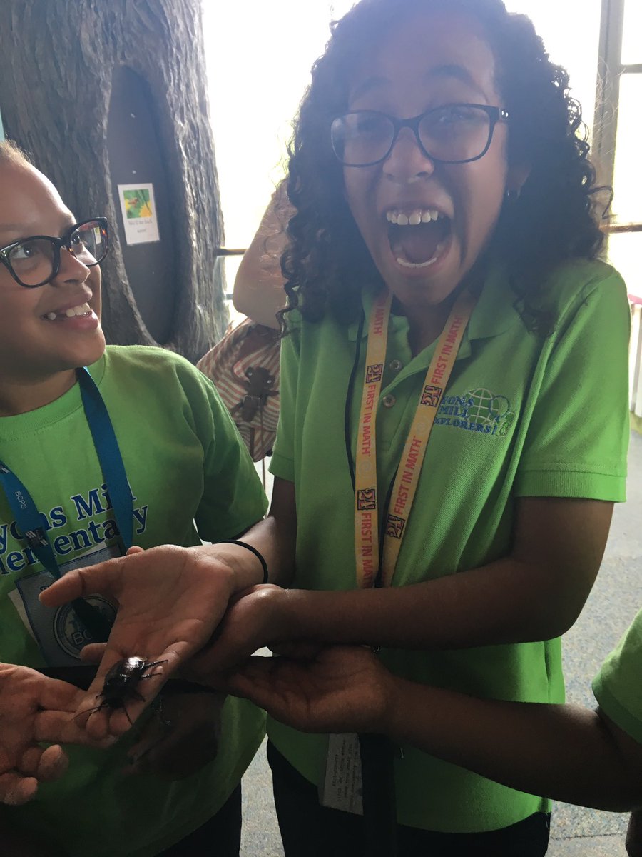 TrinaLittlejohn's tweet photo. Madagascar Hissing Cockroach....YUCK. @LyonsMill @mbroomelmes @karisdra https://t.co/198UsotWfi