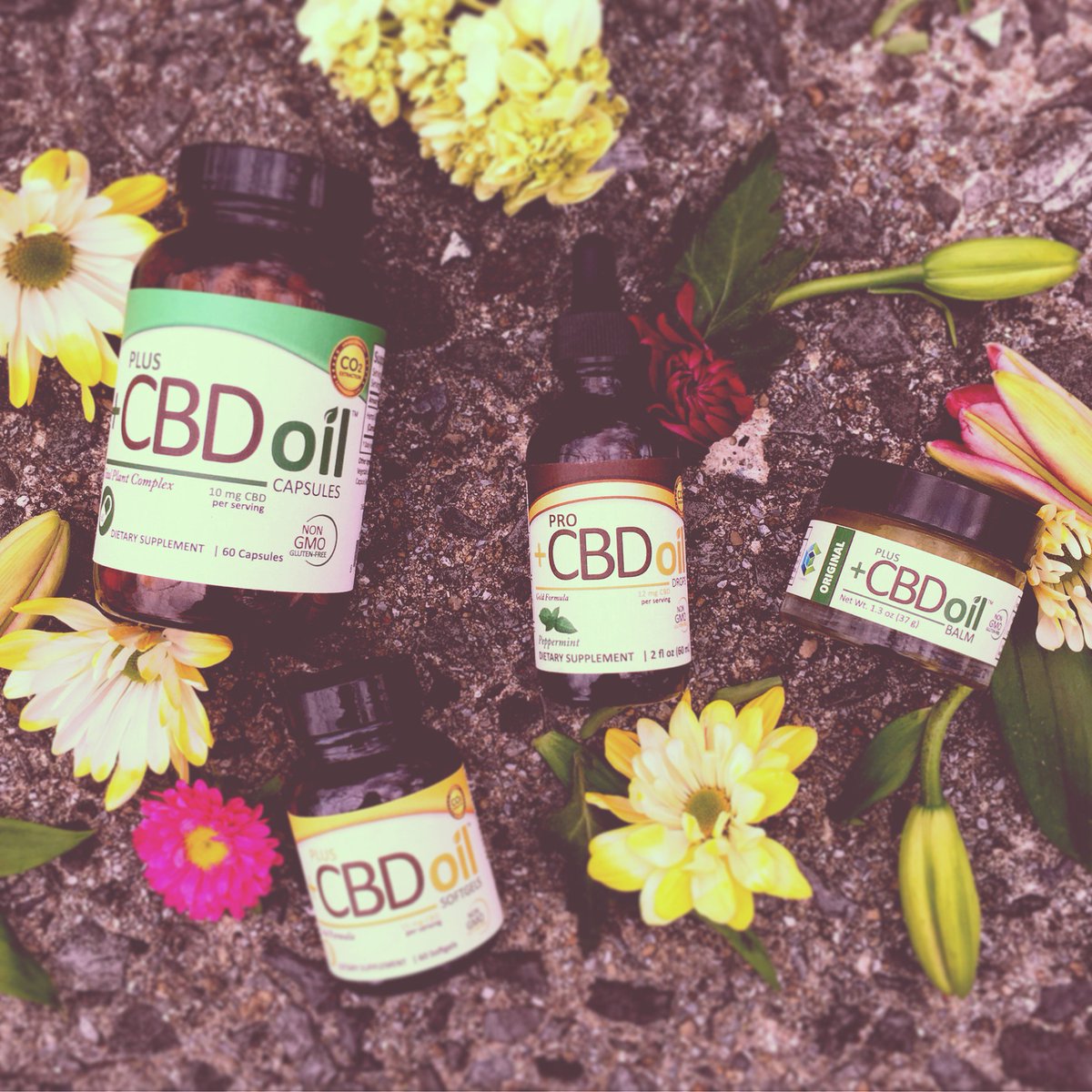 HealthyHempLLC's tweet photo. #youpluscbd Plus CBD products for the win! Promote mental clarity in a multitude of ways! π #HealthyHempLLC #Hemp #hempextract #healthy #CBD https://t.co/Wq8yYutNdc