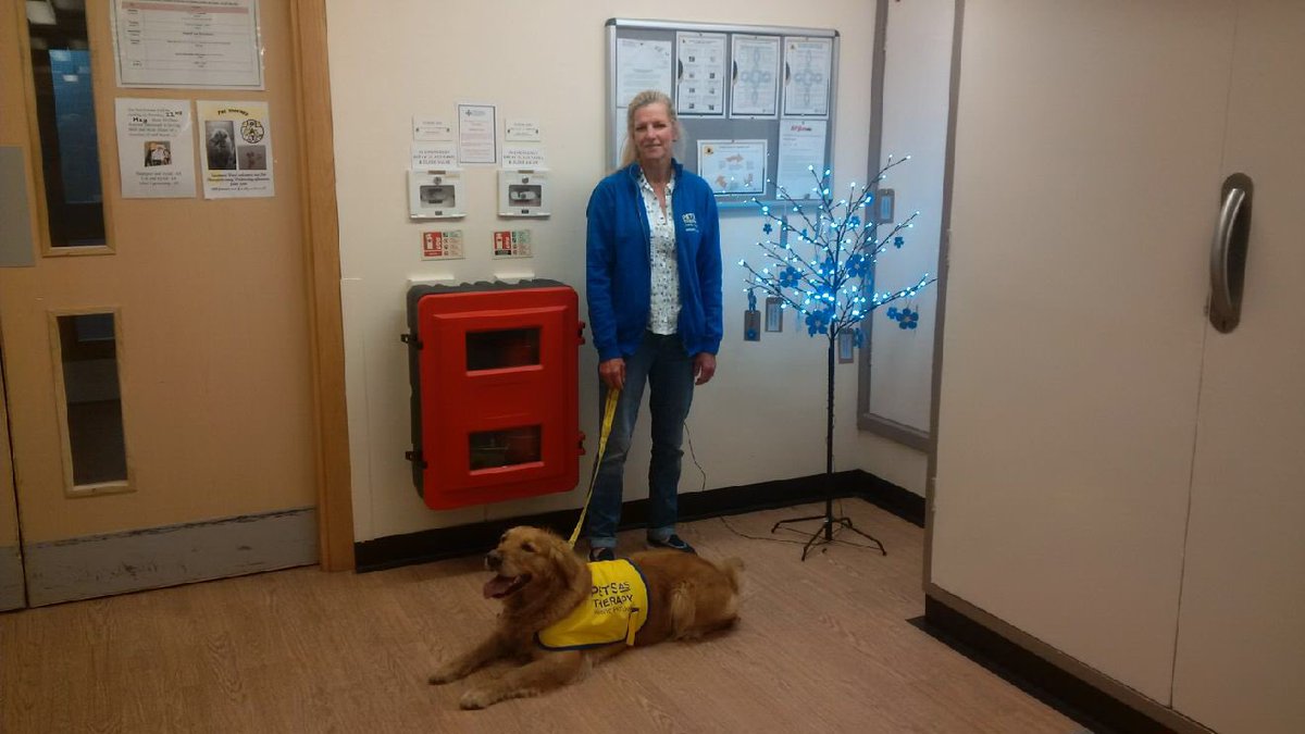 HPhillipsRMN's tweet photo. #DementiaAwarenessWeek day 4 SycamoreWard #failurefree #pet-therapy @AneurinBevanUHB https://t.co/lBAimclB9W