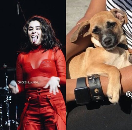 laursrae's tweet photo. He is just like his mother hahaha @LaurenJauregui @ItsLeoJauregui 
#MTVAWARDSSTAR Fifth Harmony https://t.co/enHgzwwUEG