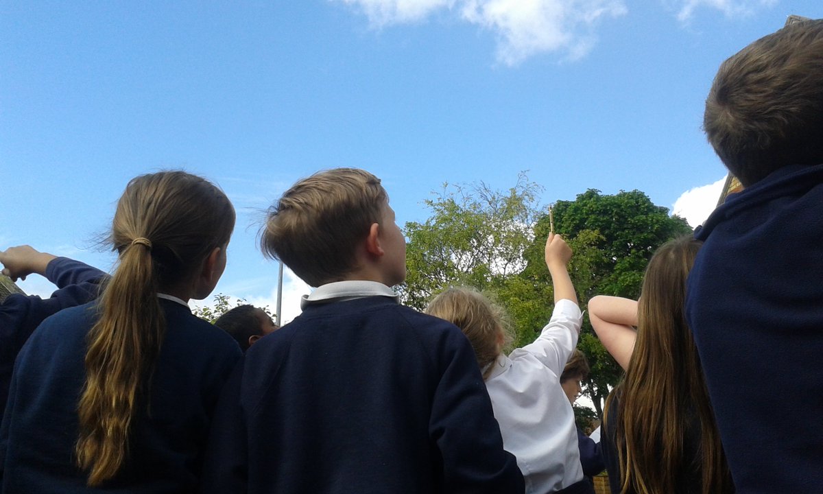 The swifts are back at VPPS! @Bristolswifts @outdoorclassday #mywildcity @rspbsouthwest @sbristolvoice Year 3 enjoyed spotting them today.