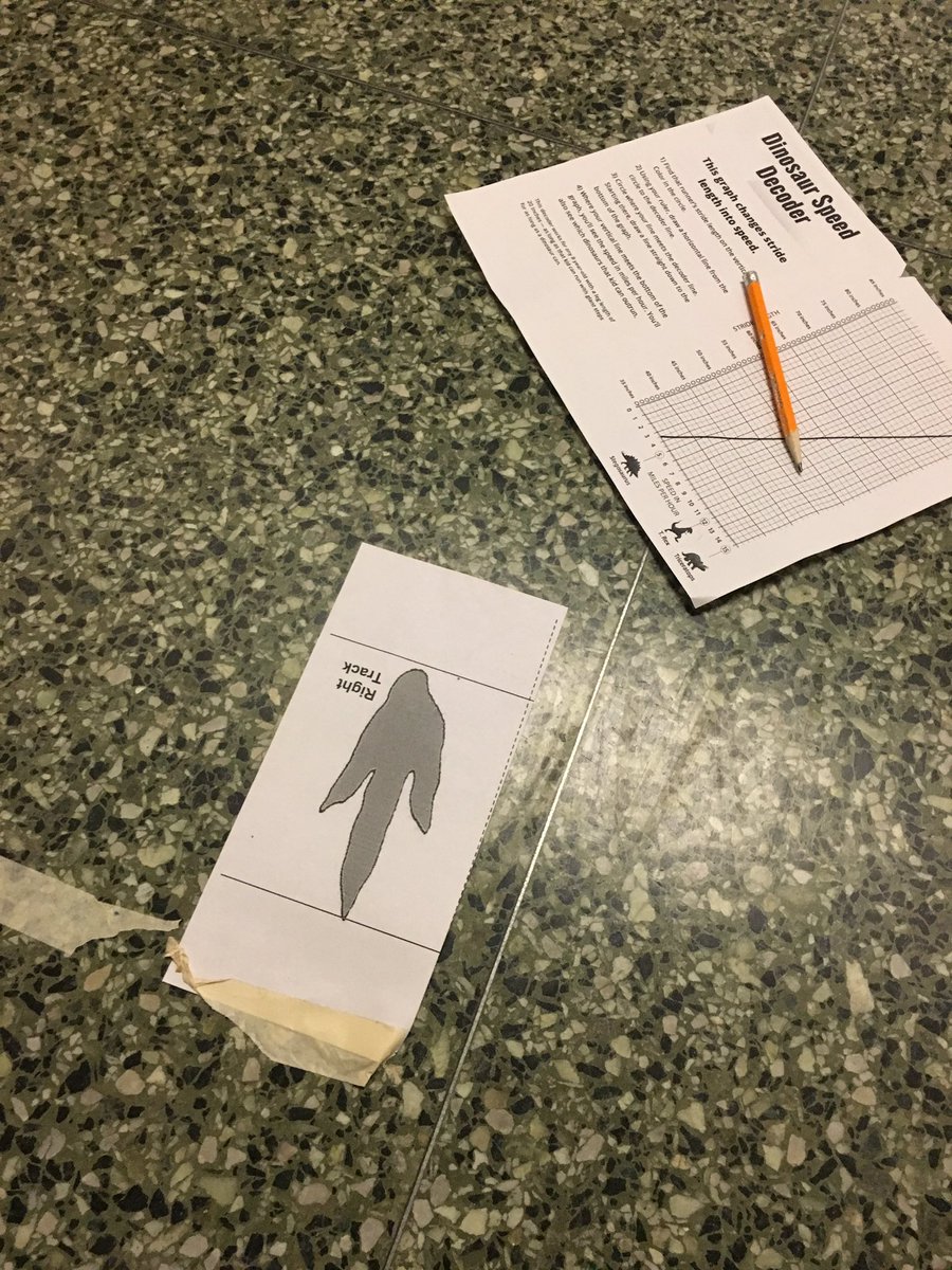 Room13ark's tweet photo. Can you outrun a dinosaur?  Fun with mystery science!  #arkknights1 https://t.co/VnXUTCsOAh