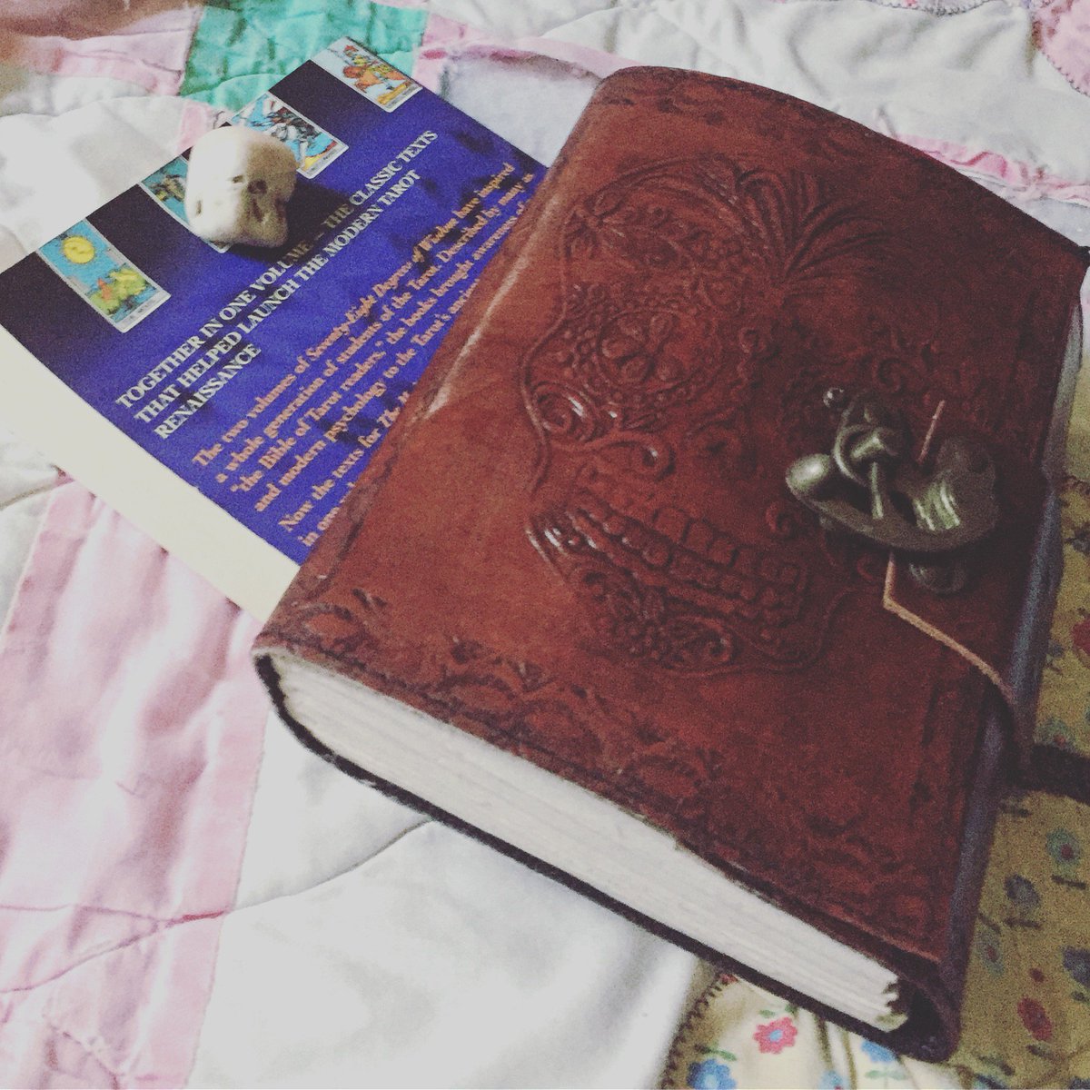 DocksideSteph's tweet image. Sparked.