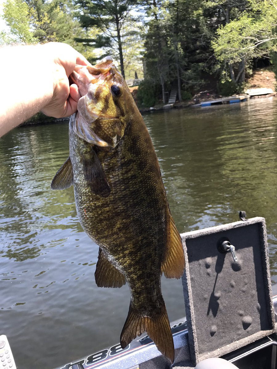 Jeff Hesketh tweet media