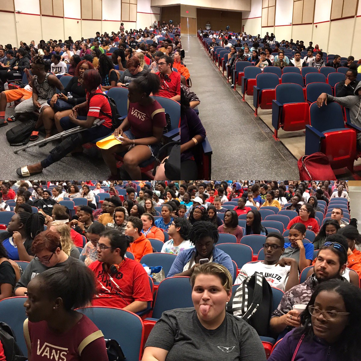 🌴Mighty Hoff🌴 tweet media