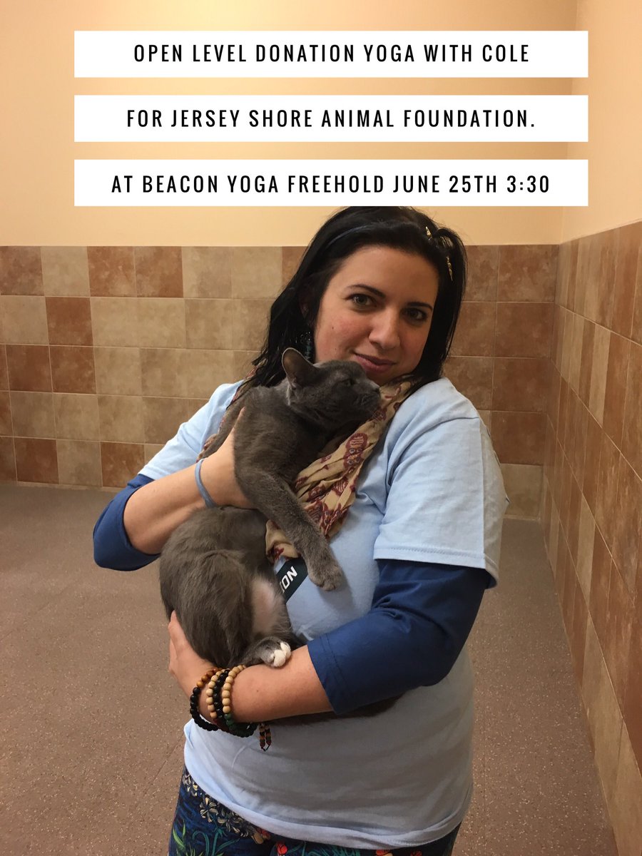 JSAFPets's tweet photo. #Yoga for the animals! Come to the donation class taught by volunteer @ColeDeNardo to help our rescue! https://t.co/AFRHYw9Jap