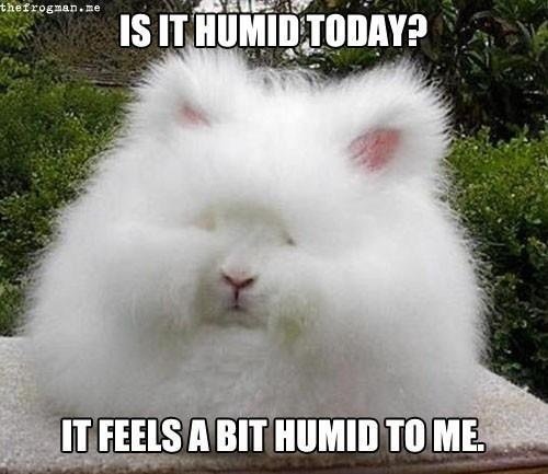 Oh I have not missed the humidity... but we learn to deal! Stay in and order Chef Shuttle tonight!