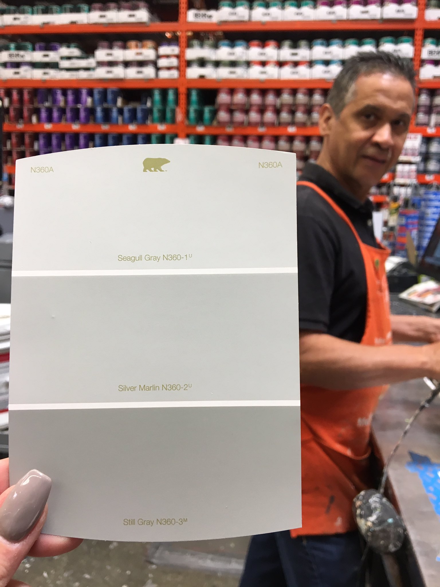 Behr 2024 seagull gray
