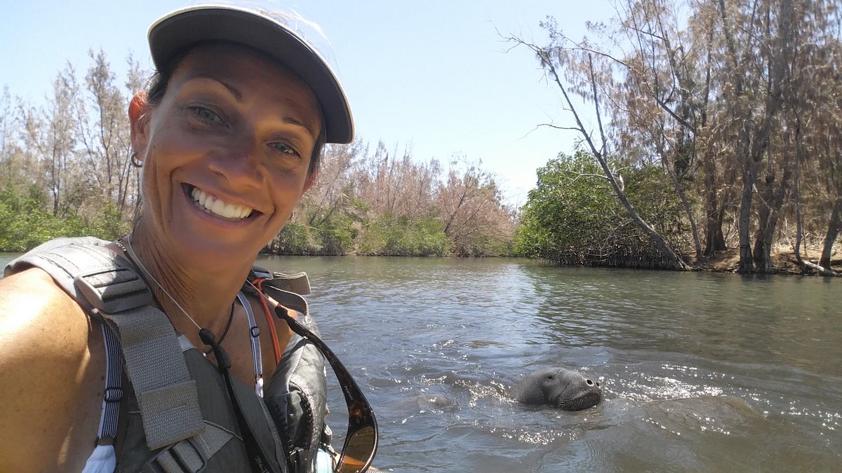 karenskayaks's tweet photo. Hello manatee #guidevibes #manatee #lovefl https://t.co/ySgp1z67fn