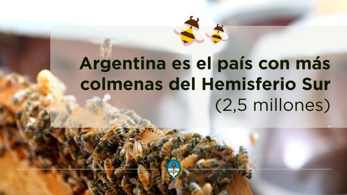 Ver imagen en Twitter