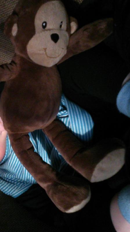 lostteddybear's tweet photo. Lost: Monkey lost on 484 bus to Camberwell whe... | South East London | https://t.co/IqXKkGwX1P #LostTeddy https://t.co/gGnNcOHBSi