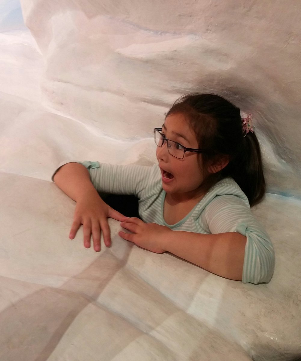 Nora Fleming tweet media