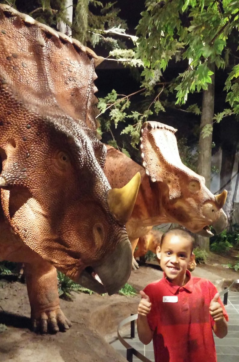 Nora Fleming tweet media